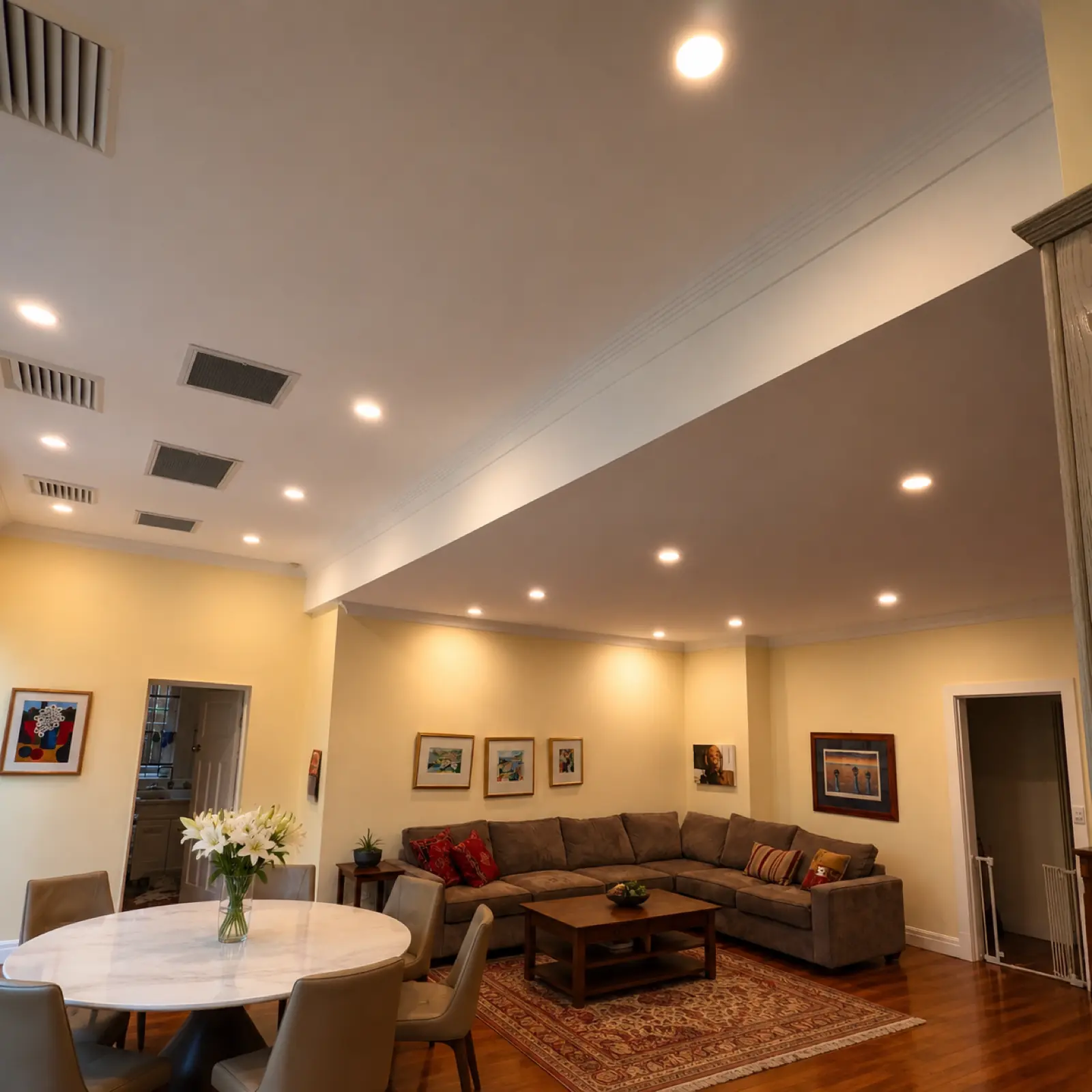 Gemelec downlight install in a Randwick home